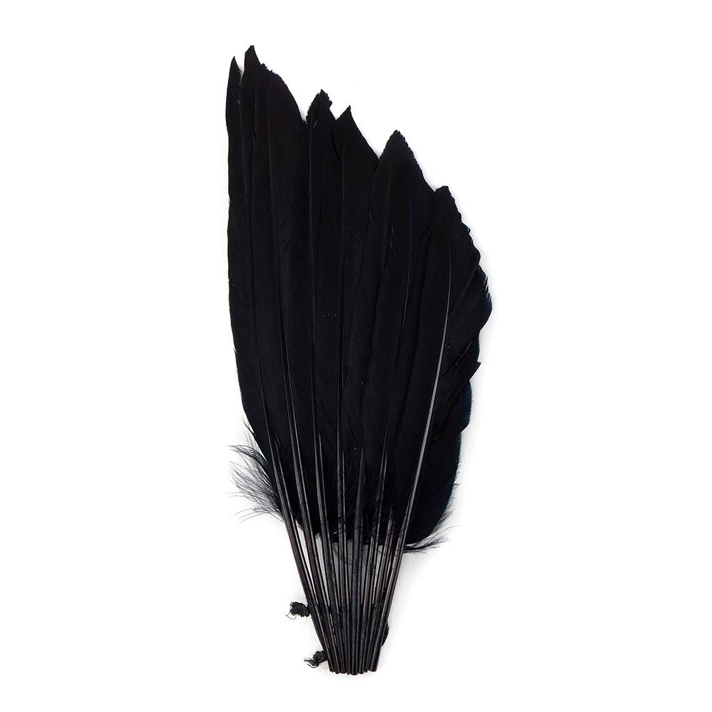 Zucker Feather Products Duck Feather Wing Fan Trim - 4.5-7.5 inch - 12 Pcs - Black